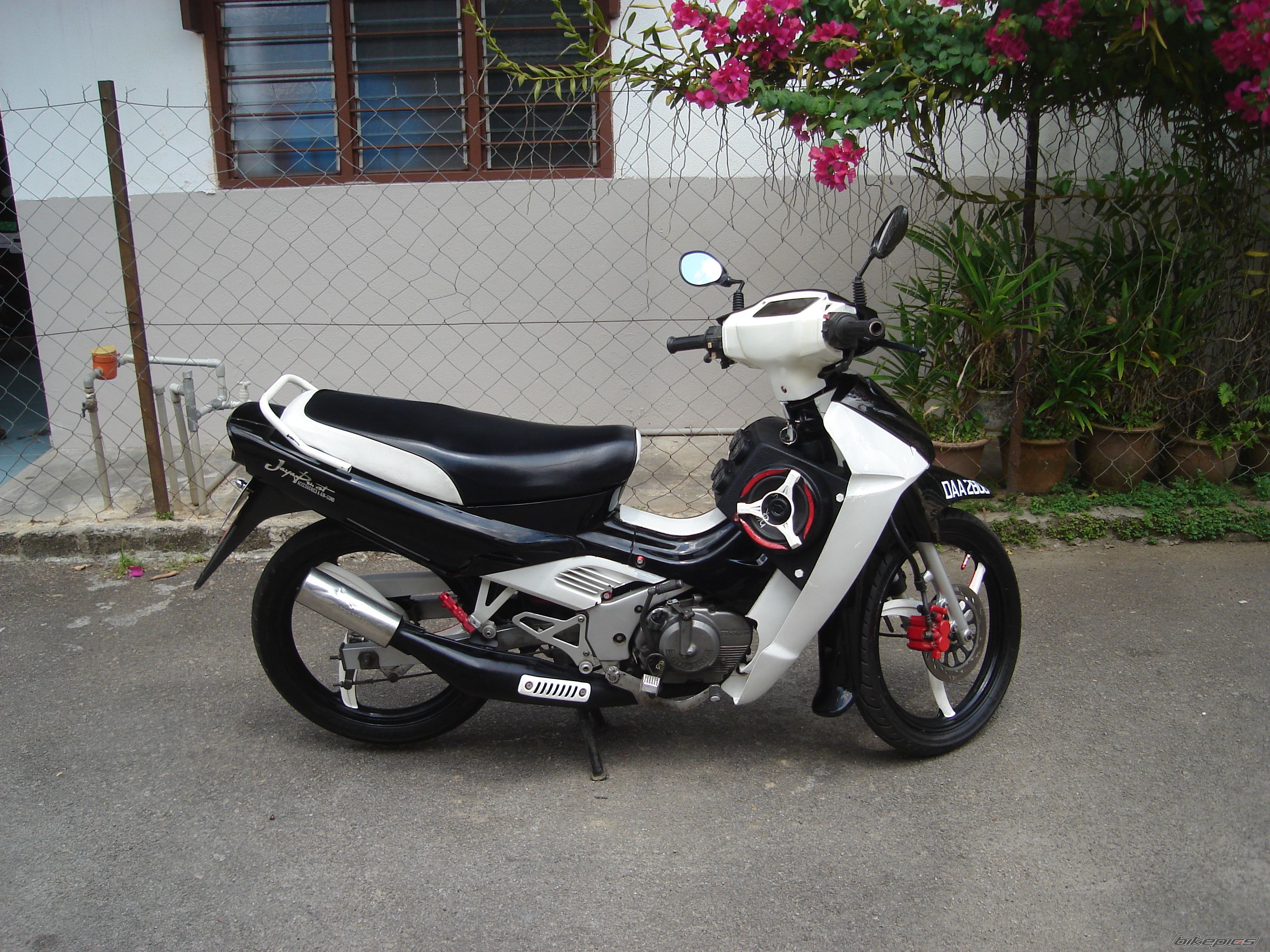 Photo 1758579