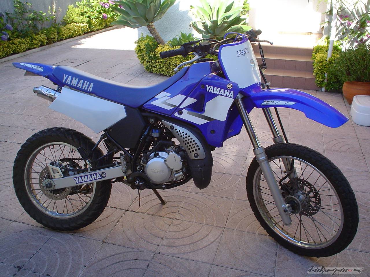 Bike Photo 175862