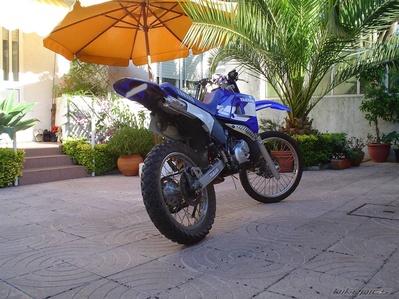 Bike Photo 175877