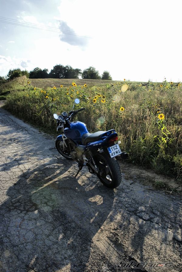 Photo 1758814