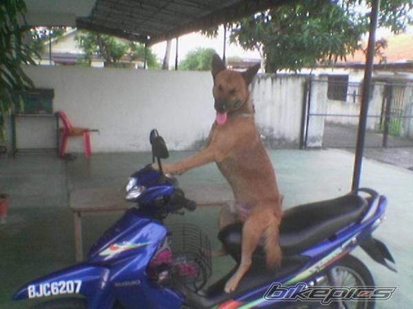 Photo 1758931