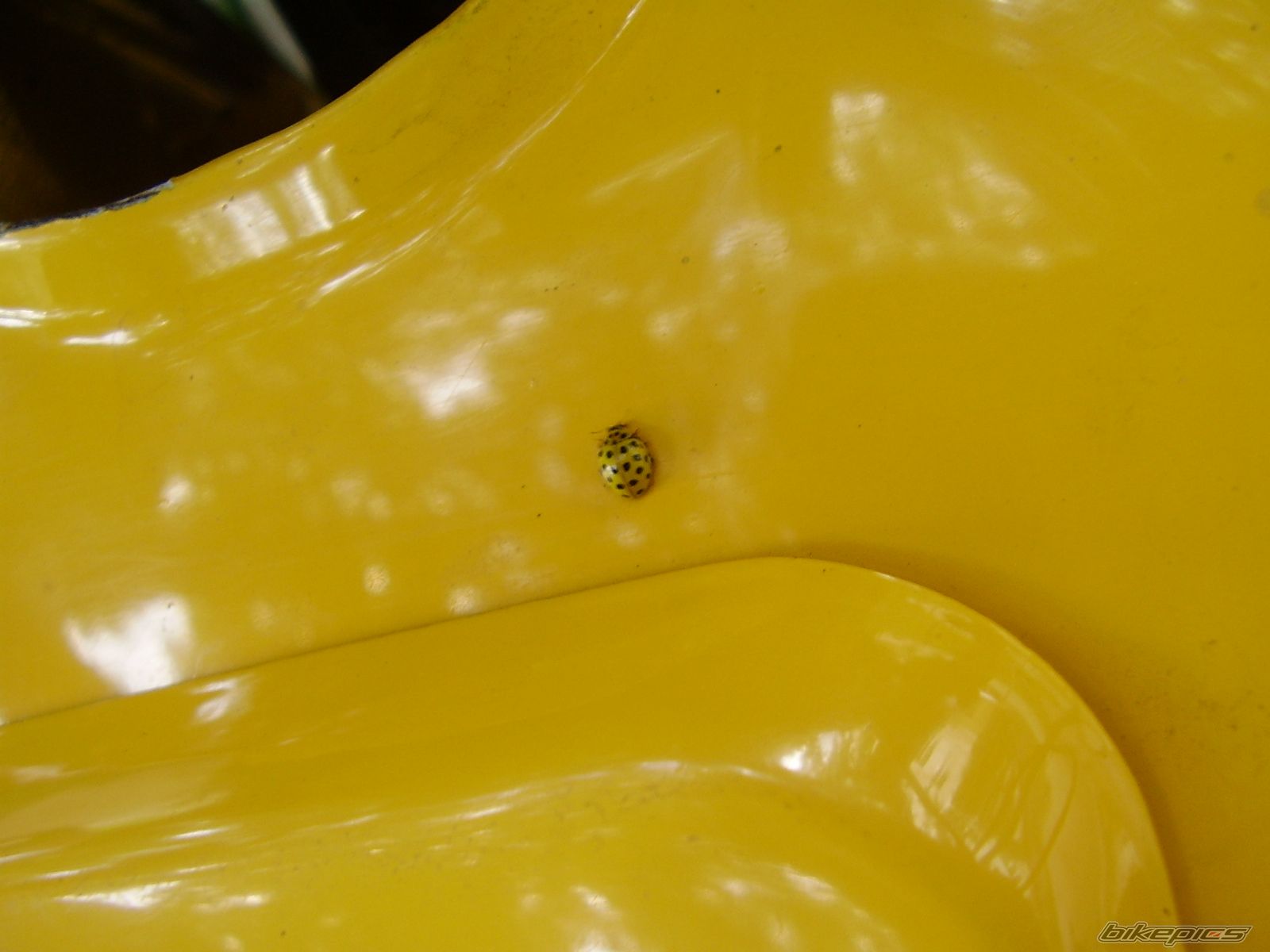 Photo 1759141