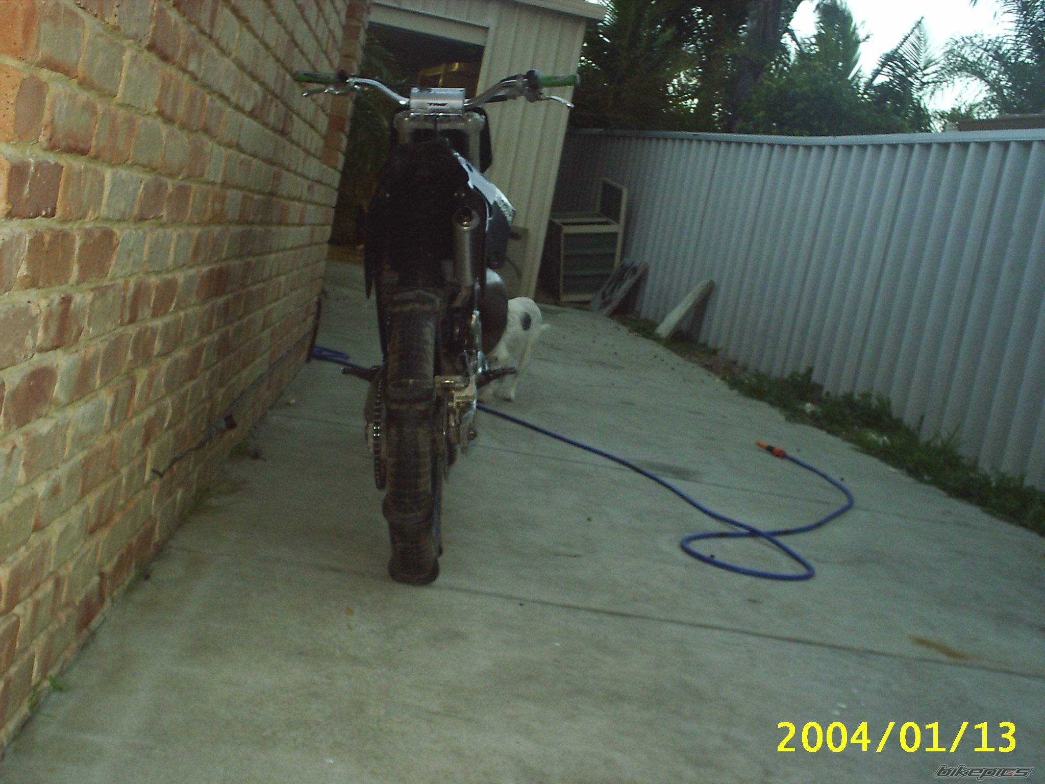 Photo 175926