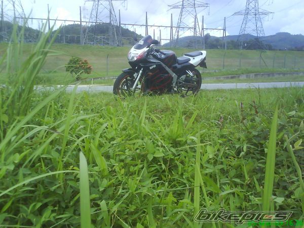 Bike Photo 1759396