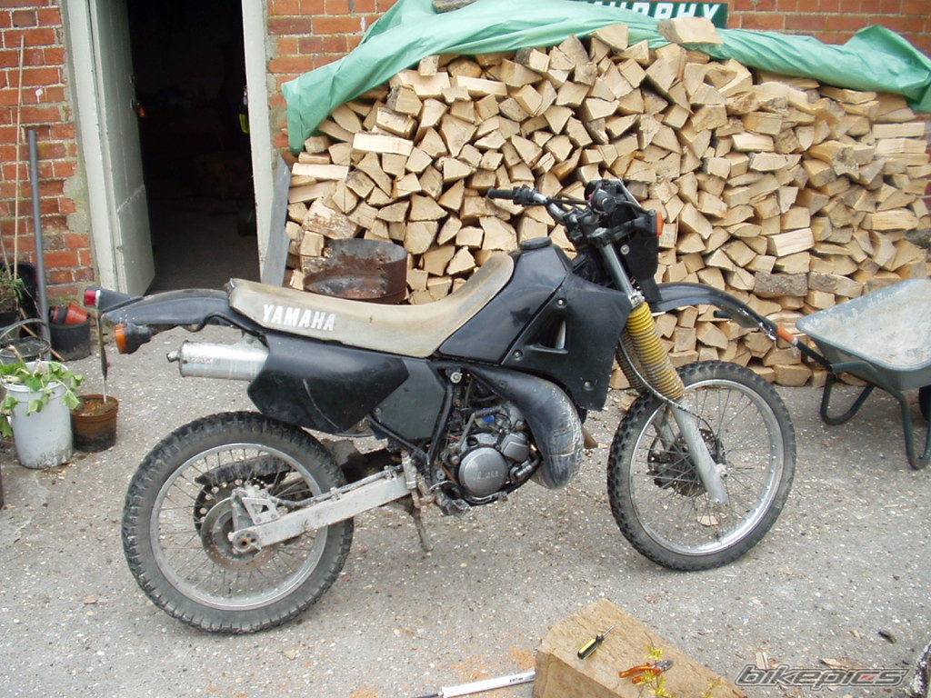 Photo 175967