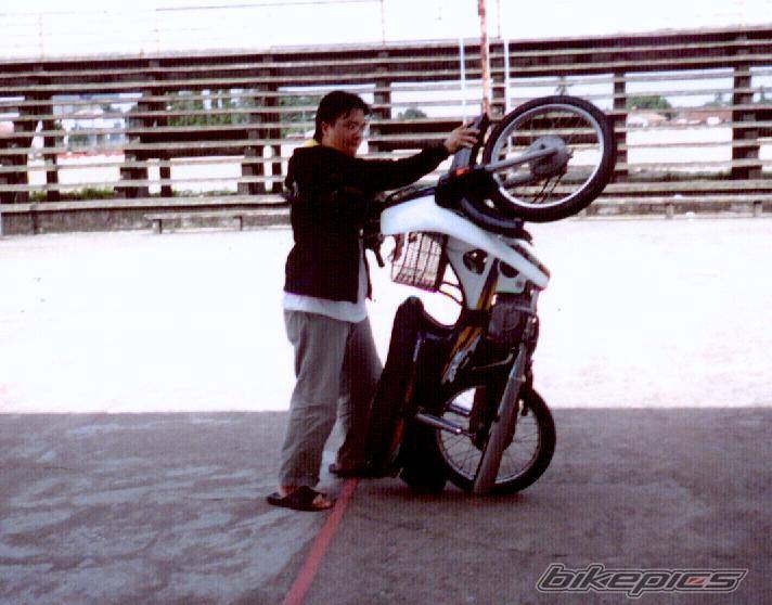 Photo 175980