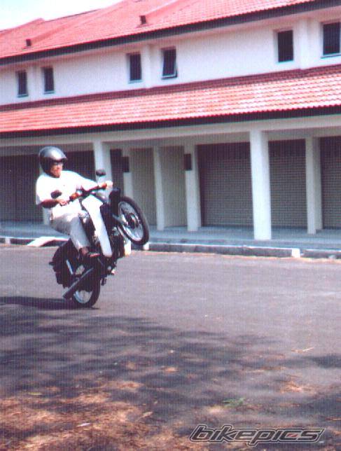 Photo 175990