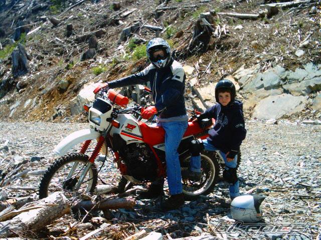 Bike Photo 176001