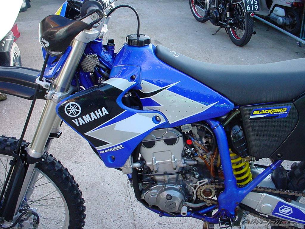 Bike Photo 176009
