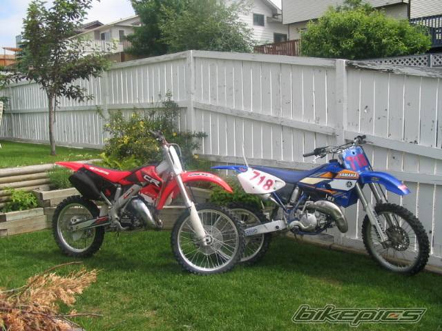 Photo 176053