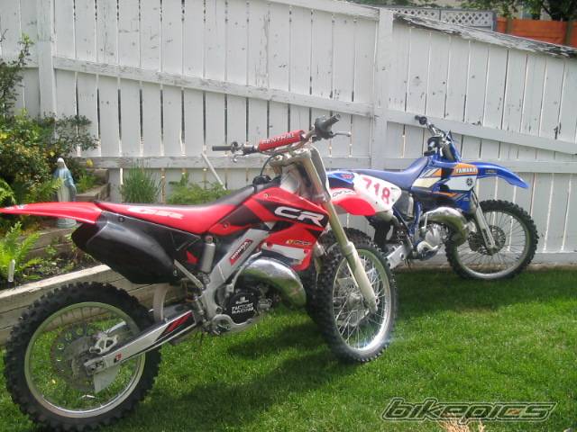 Photo 176054