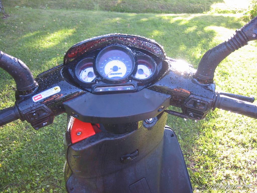 Photo 176102