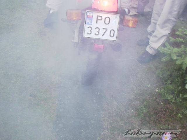 Photo 176120