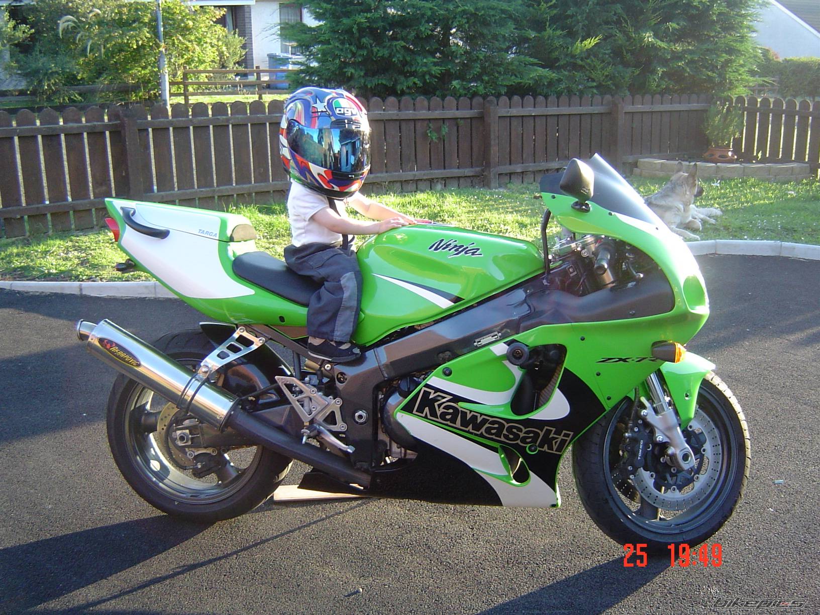 Photo 176136