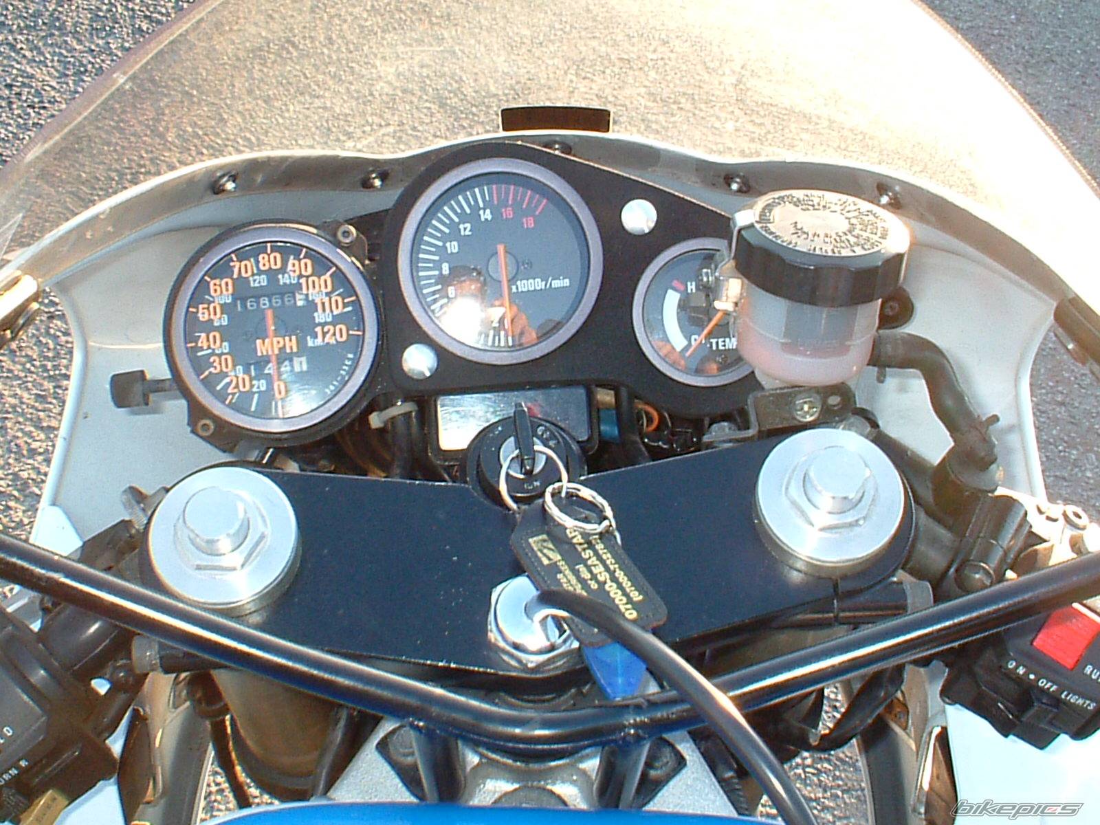 Photo 176186