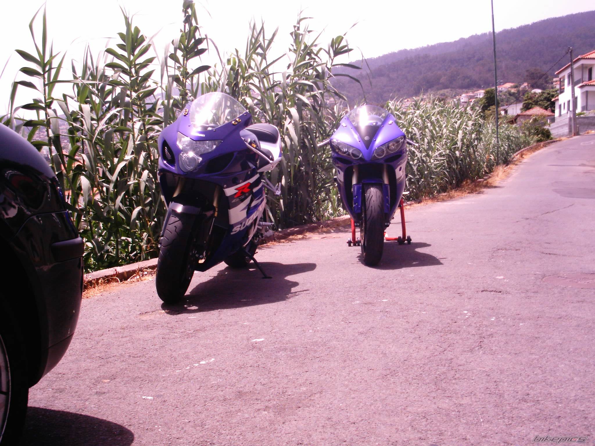 Photo 176199
