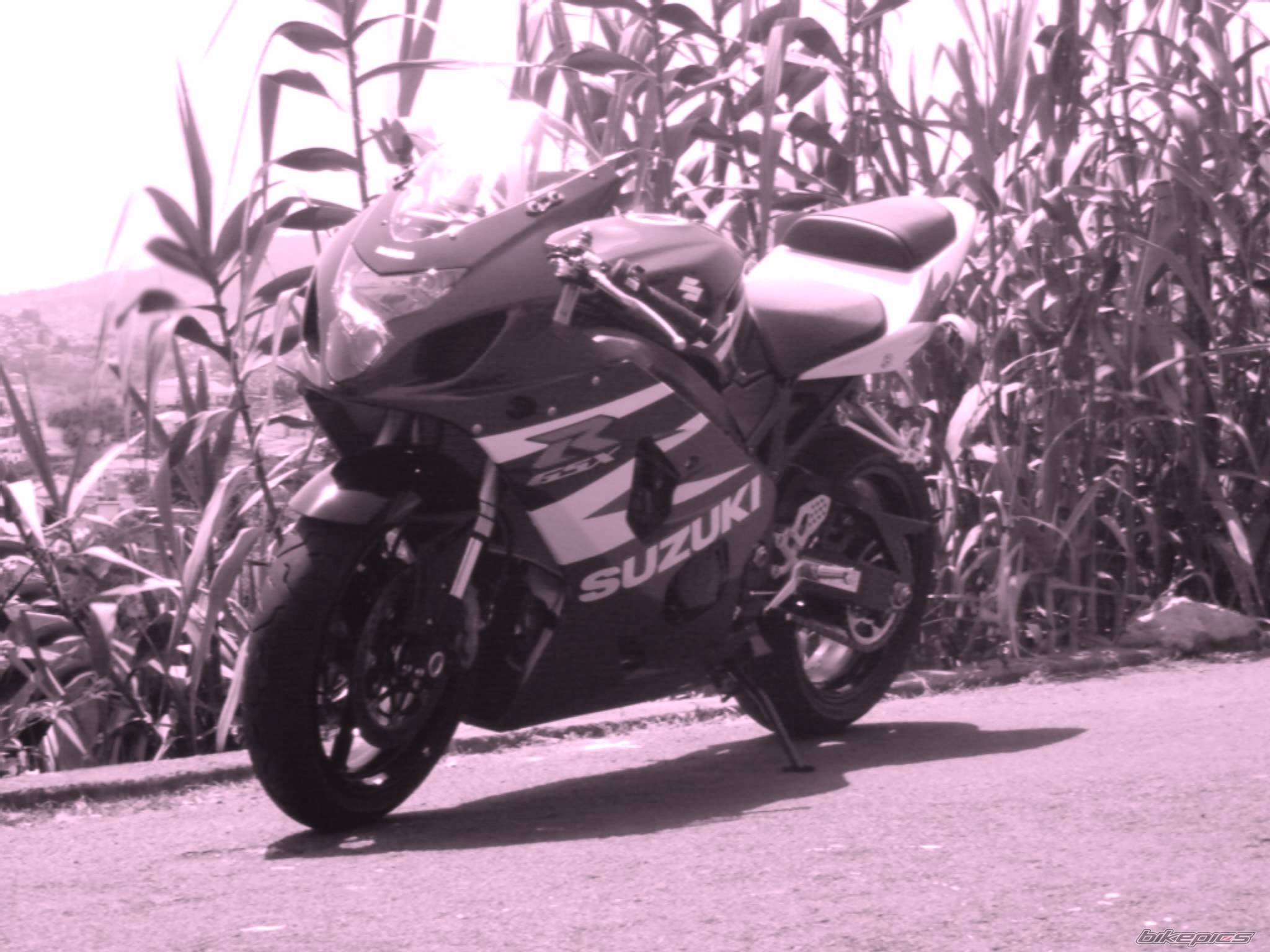 Photo 176200