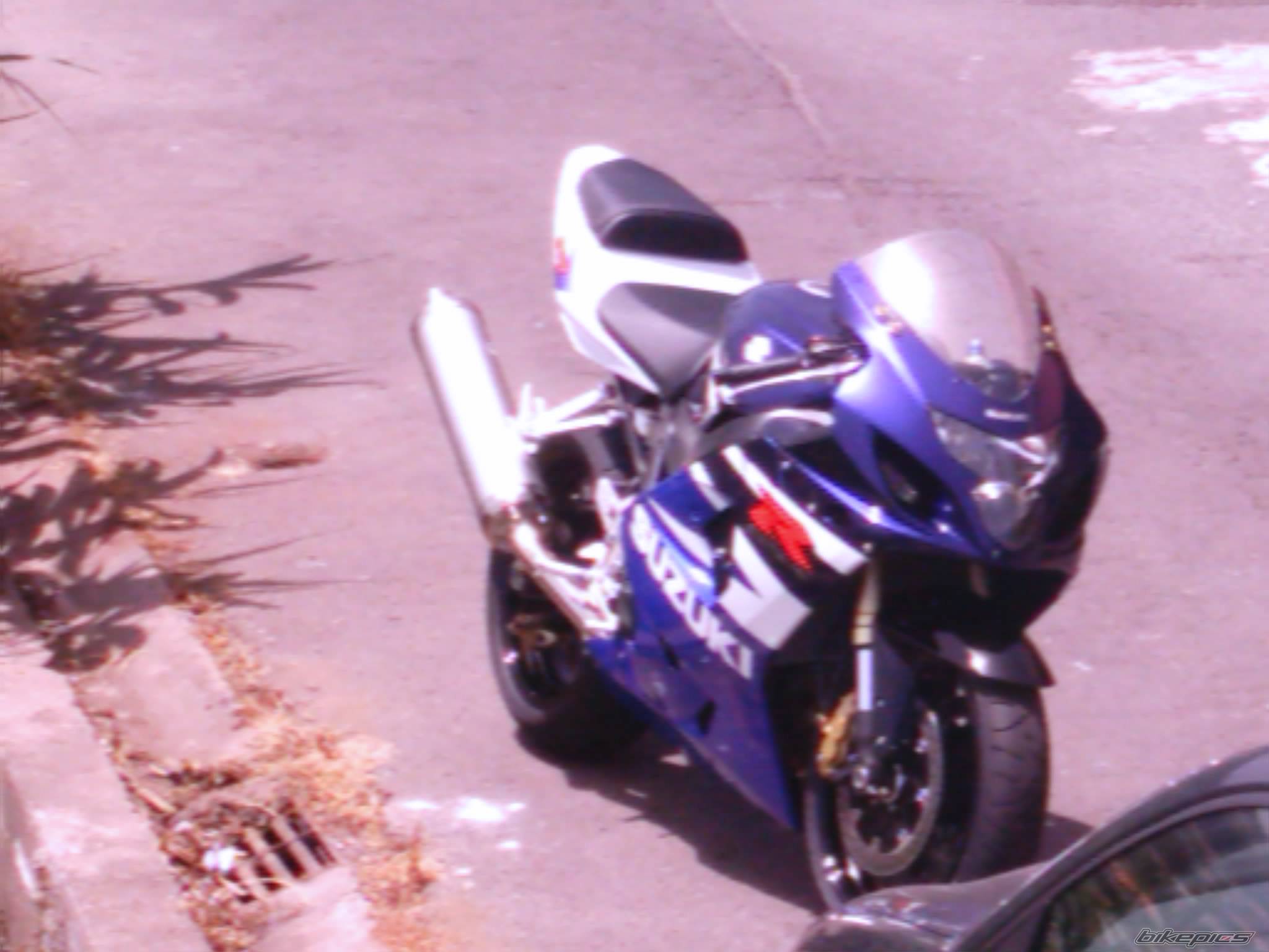 Photo 176202