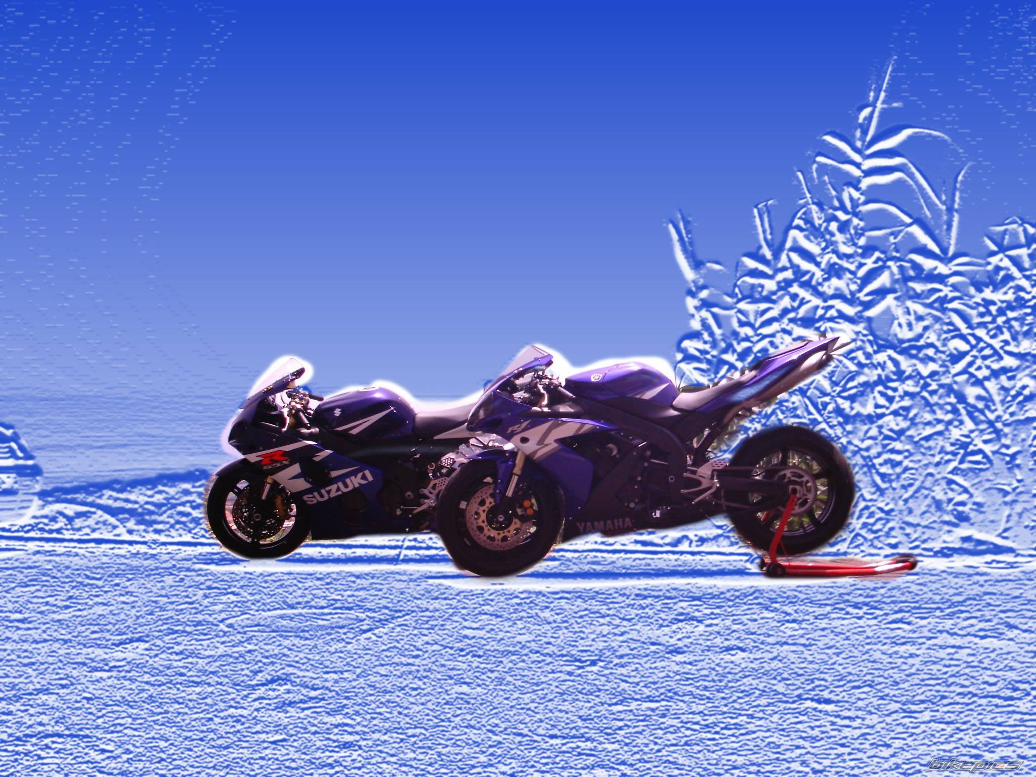Photo 176204