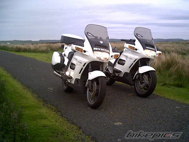 Photo 176205