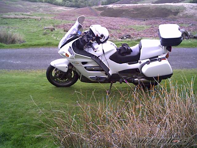 Photo 176207