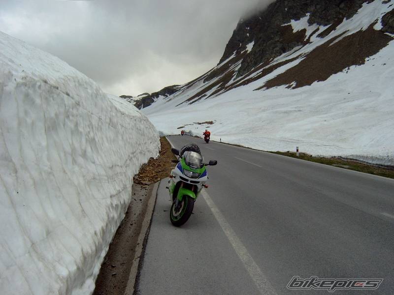 Photo 176287