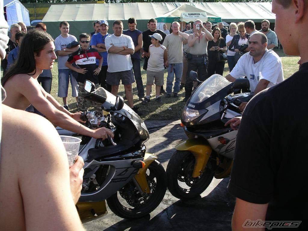 Photo 176288