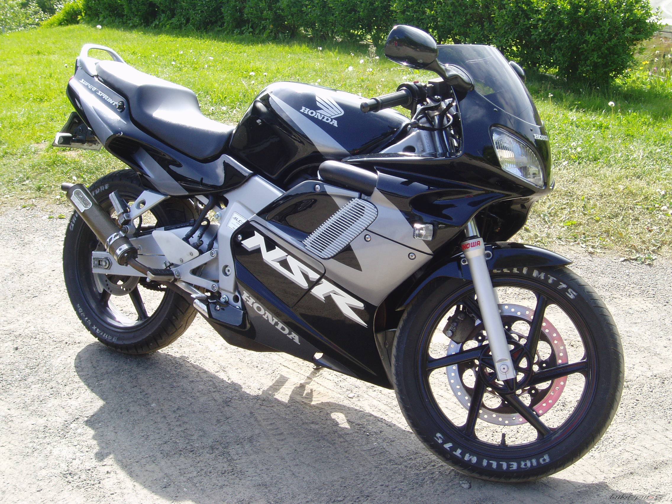Photo 176292