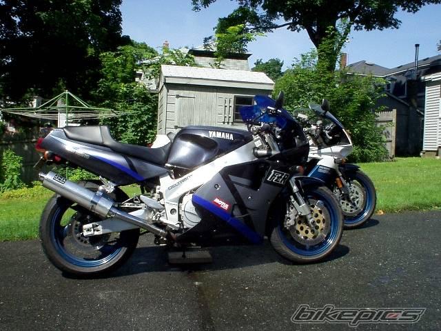 Photo 176337