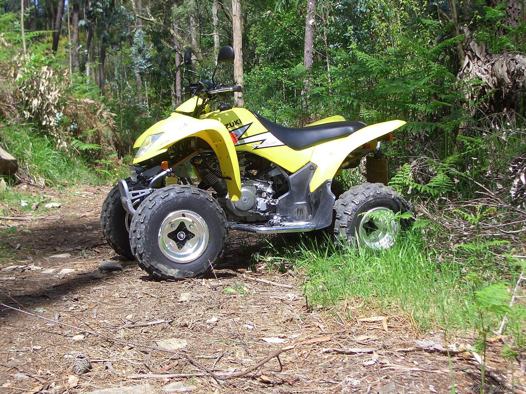 Photo 176359