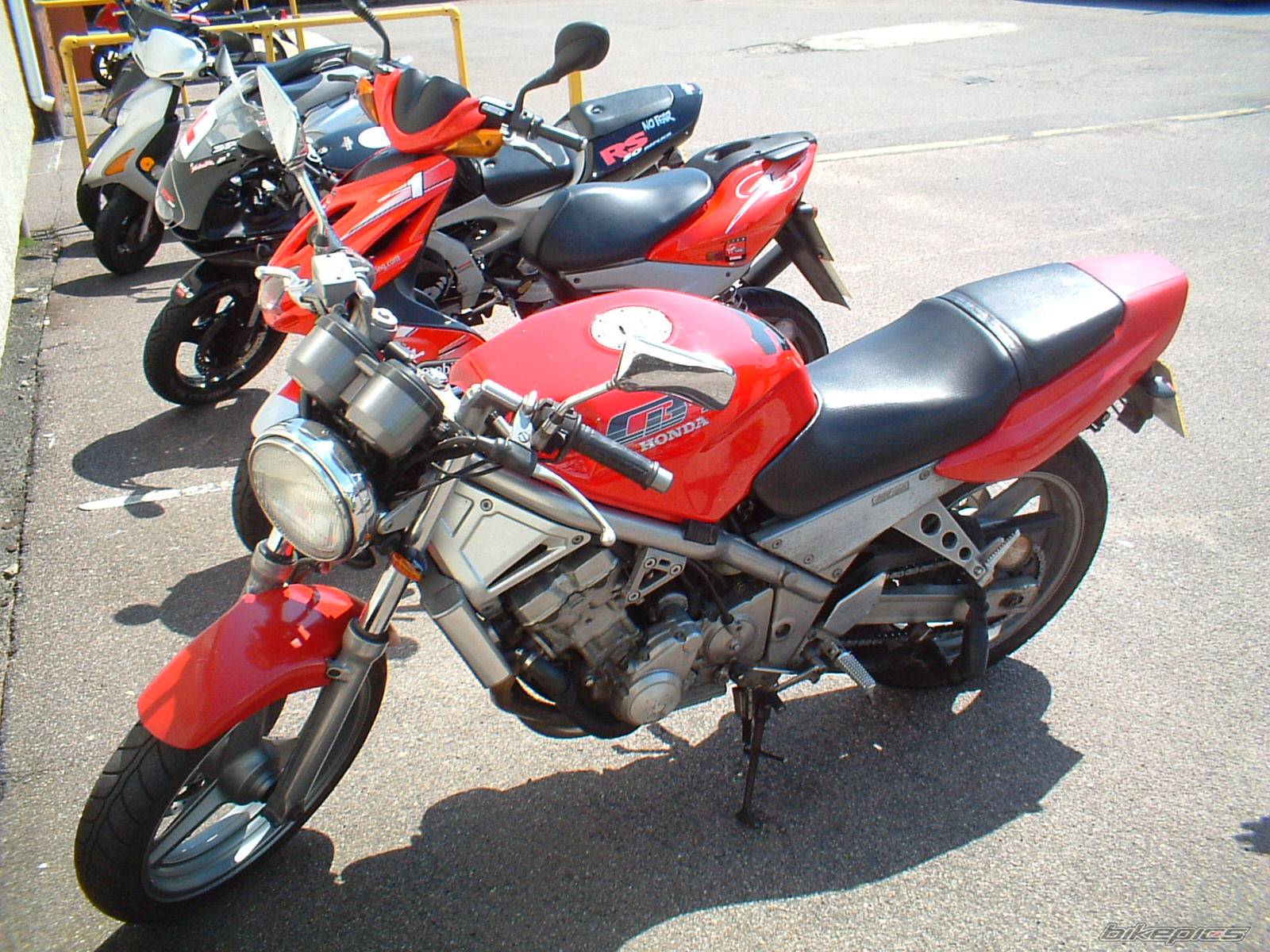 Photo 176419
