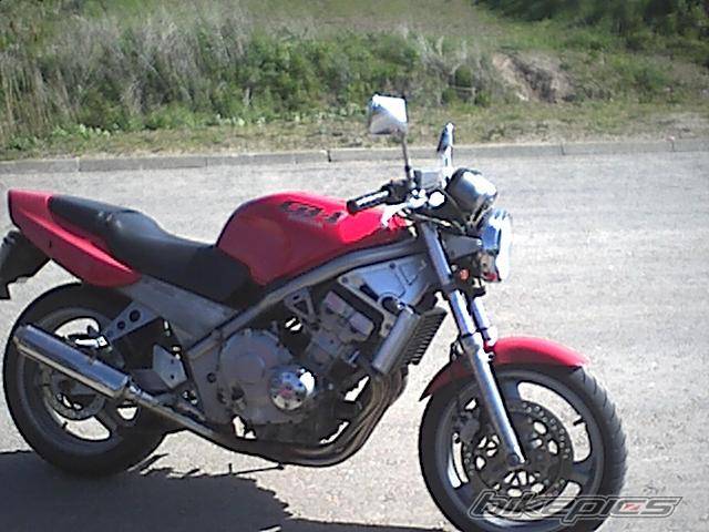 Photo 176424