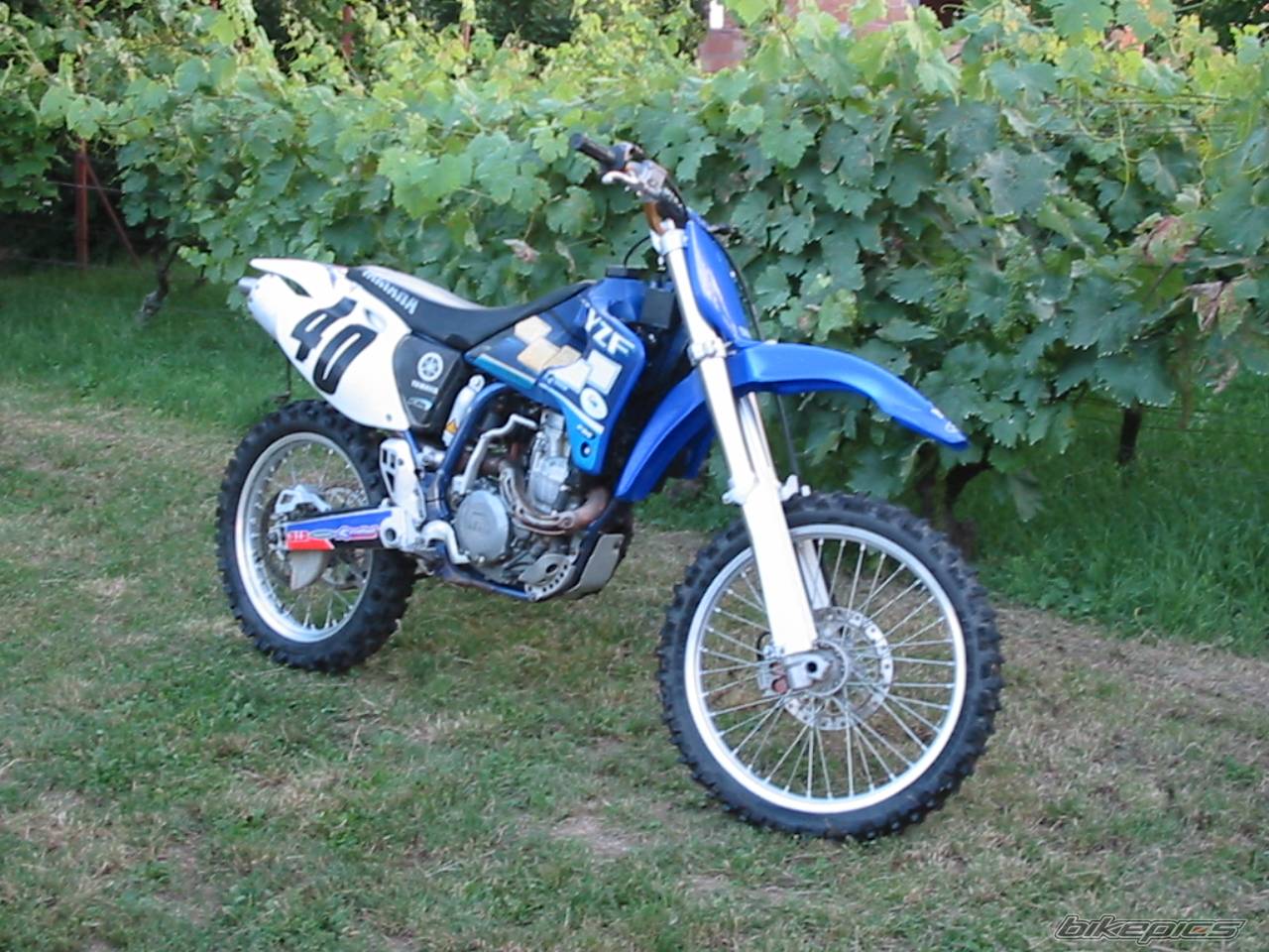 Photo 176439