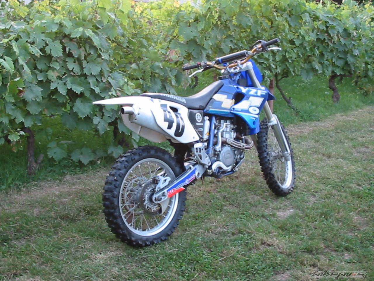 Photo 176441