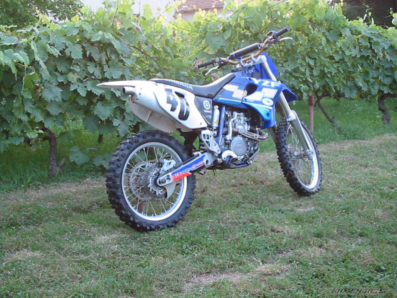 Photo 176443