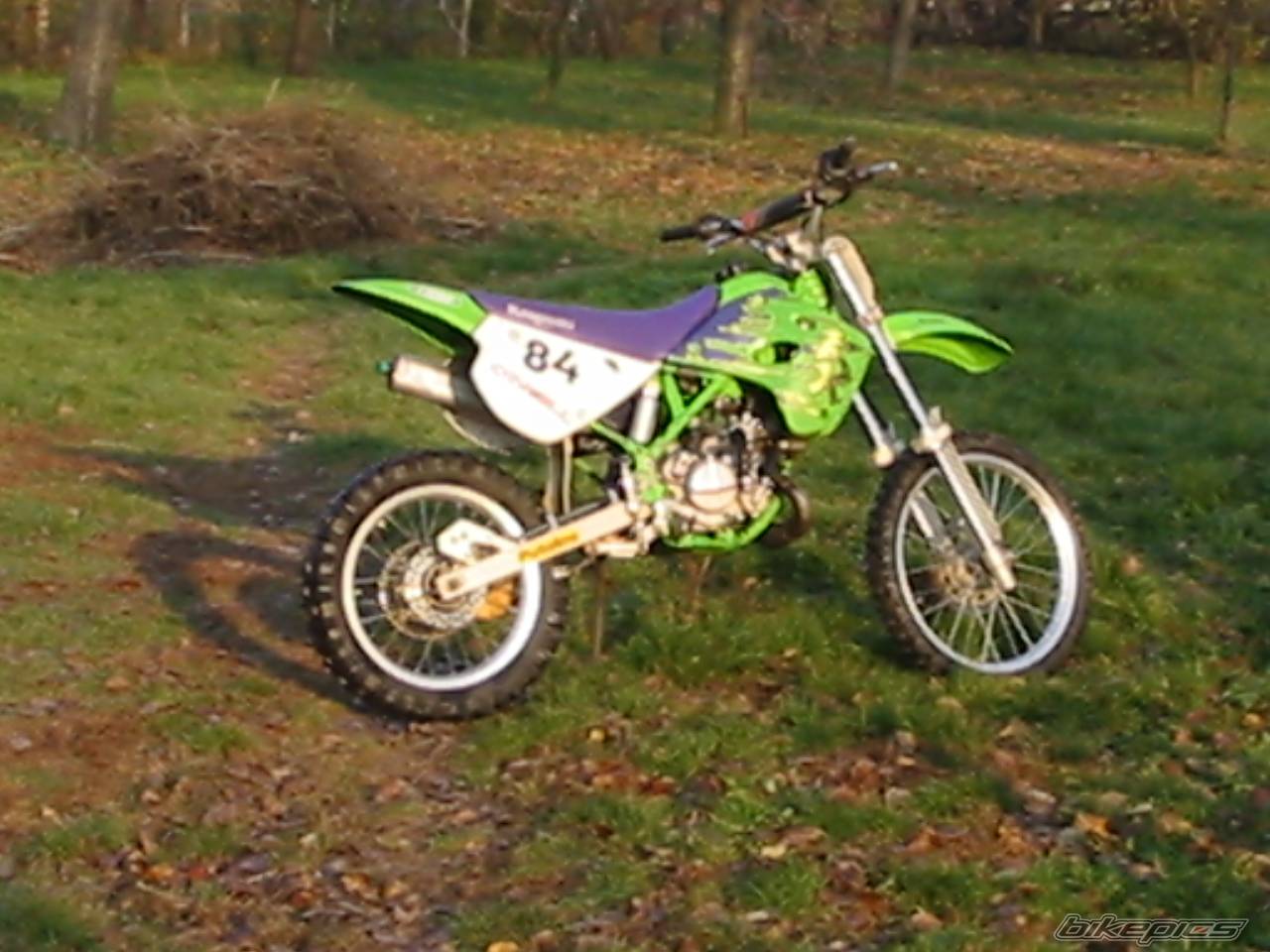 Photo 176449