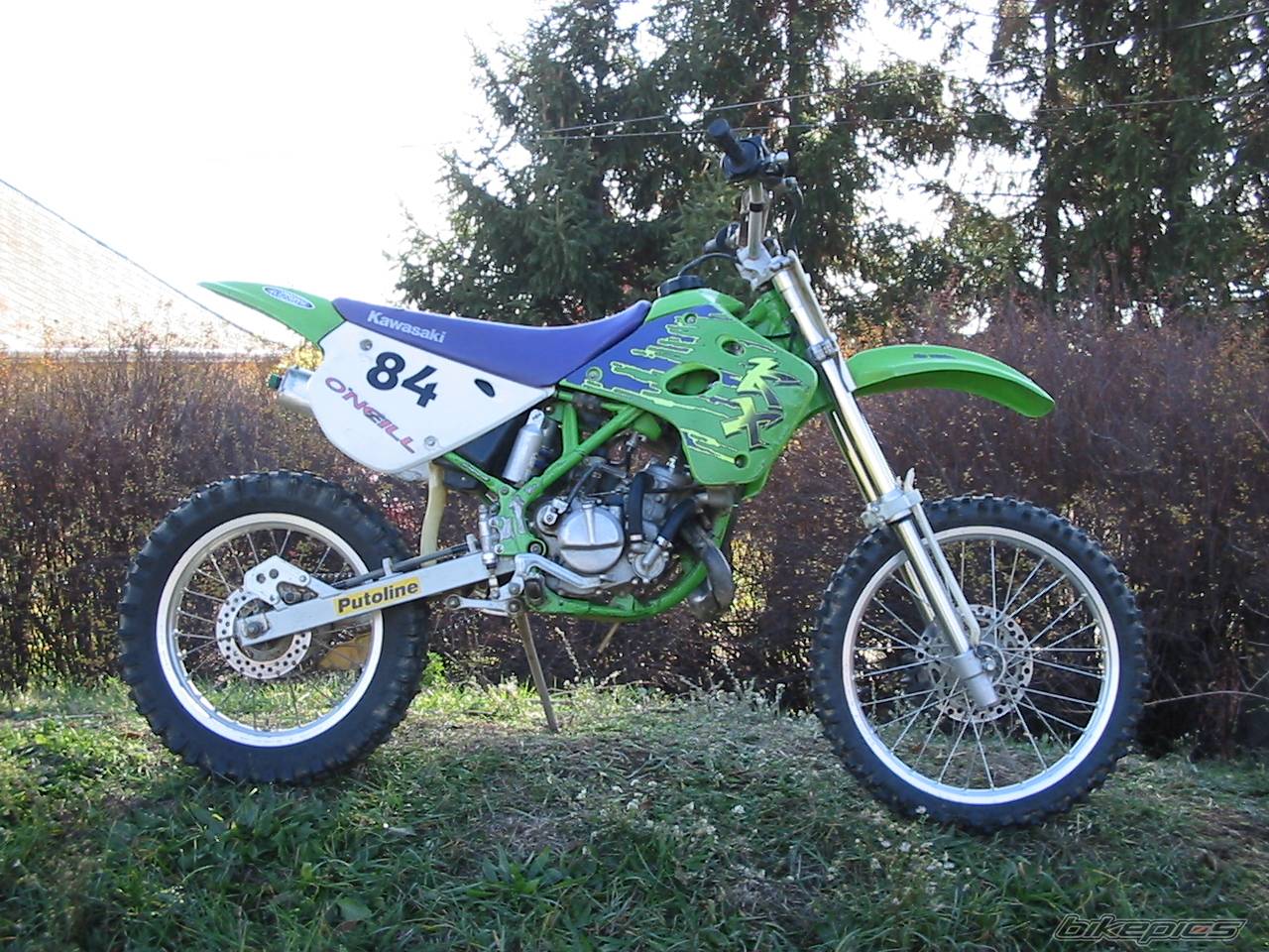 Photo 176469