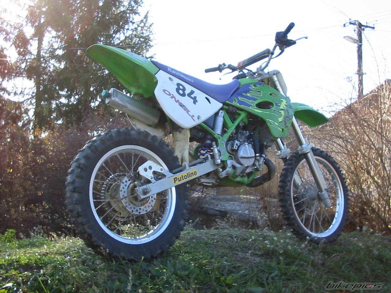 Photo 176472