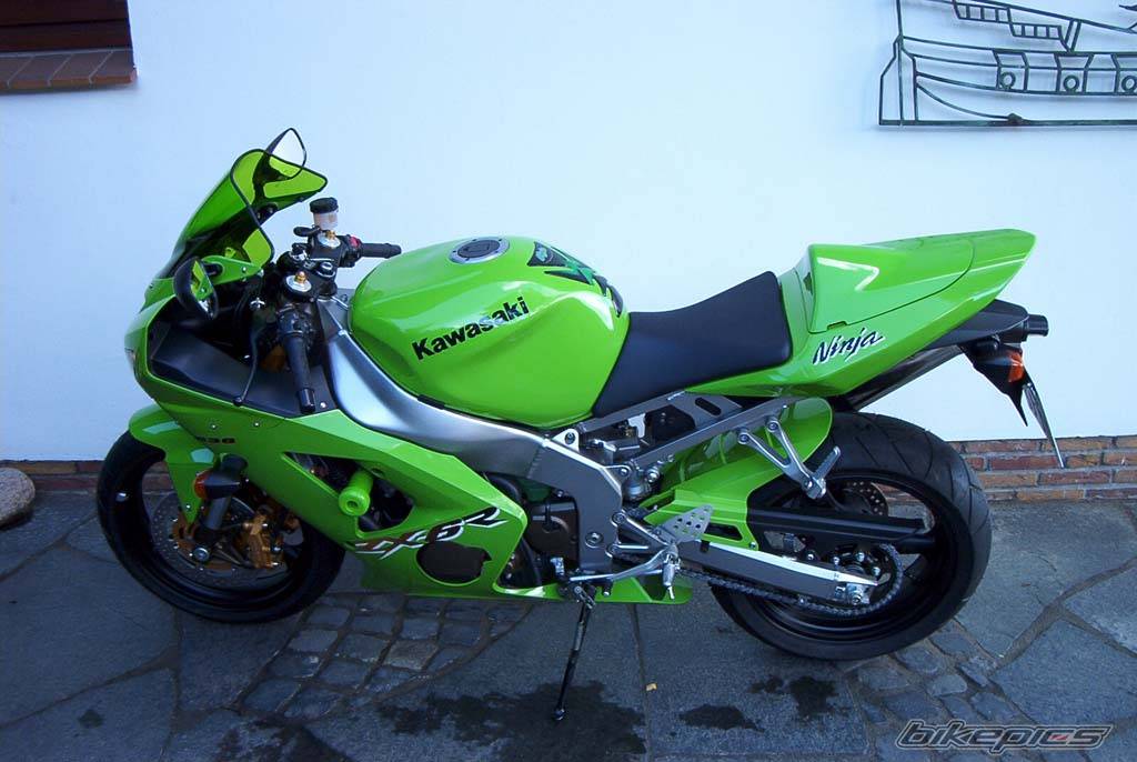 Photo 176526
