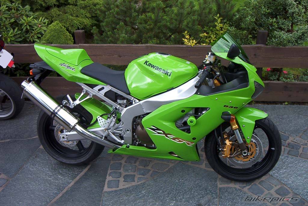 Photo 176527
