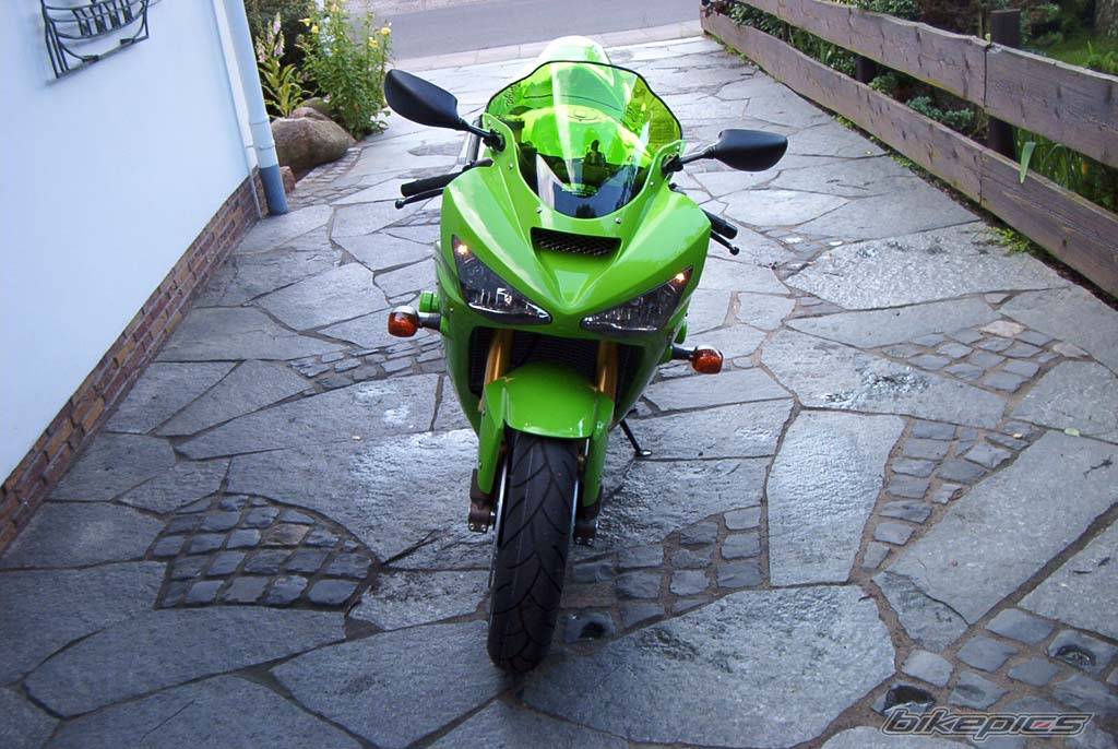 Photo 176529