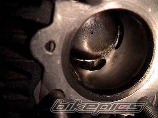 Photo 176634