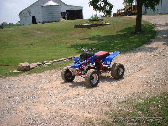Photo 176644