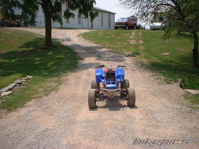 Photo 176646