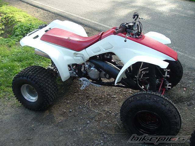Photo 176674