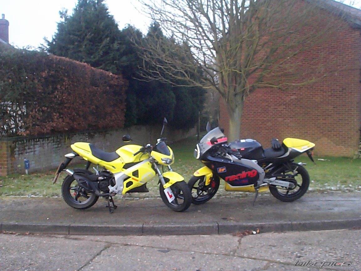 Photo 17676