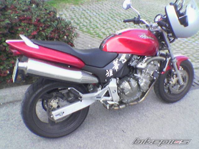 Photo 176764