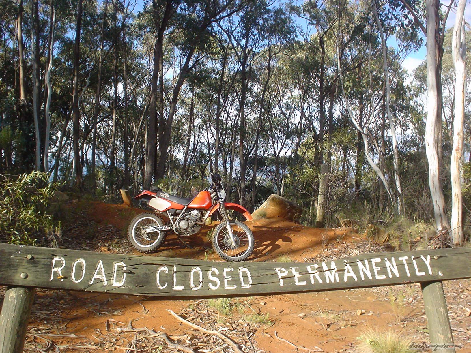 Bike Photo 176782