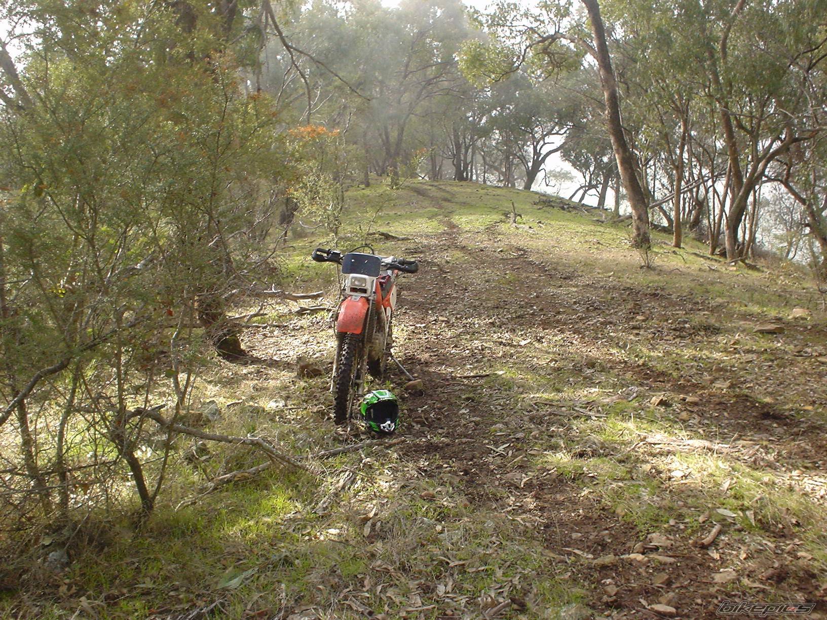 Bike Photo 176788