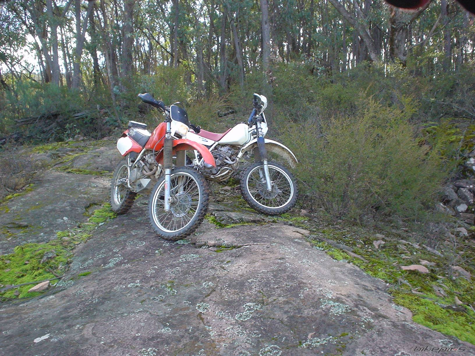 Bike Photo 176797